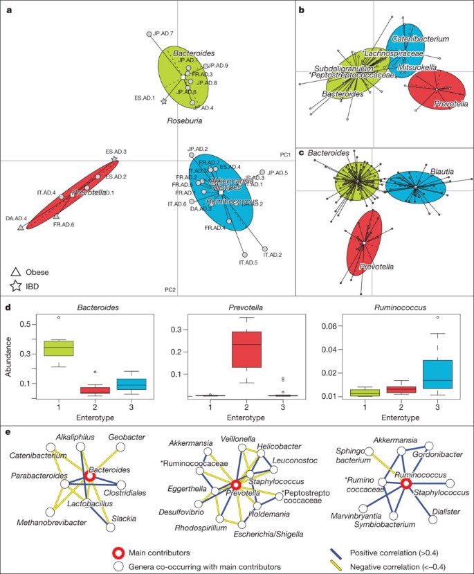 sprogfærdighed At afsløre hold Enterotypes of the human gut microbiome | Nature