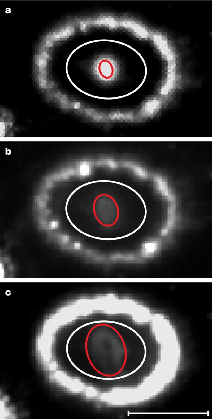 X Ray Illumination Of The Ejecta Of Supernova 1987a Nature X Ray Illumination Of The Ejecta Of Supernova 1987a Nature
