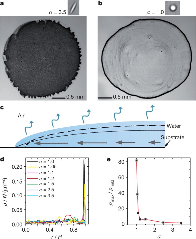 Suppression of the coffee-ring effect by shape-dependent capillary  interactions | Nature
