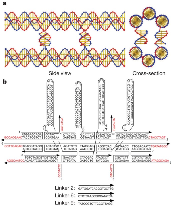 Self replication of information bearing nanoscale patterns