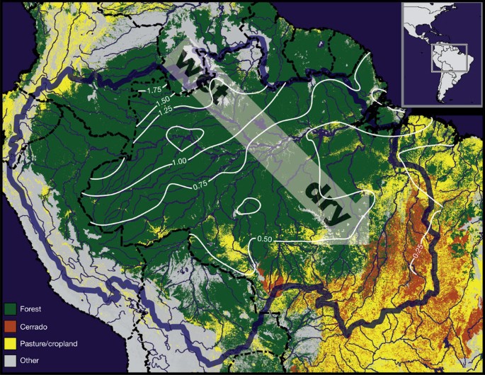 average rainfall in the amazon basin