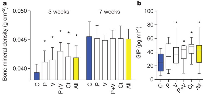 Antibiotics in early life alter the murine colonic microbiome and adiposity  | Nature