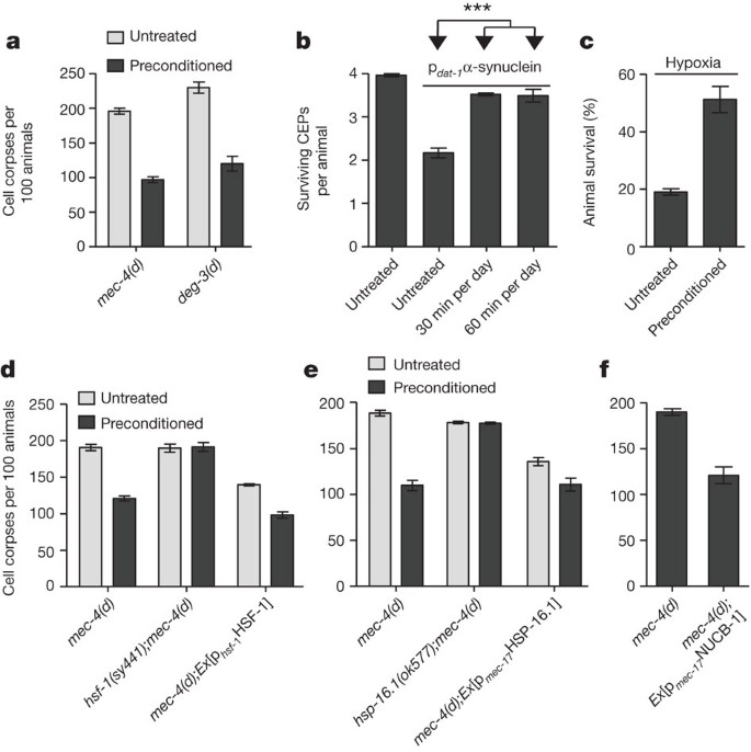 Small Heat Shock Proteins Protect From Heat Stroke Associated Neurodegeneration Nature