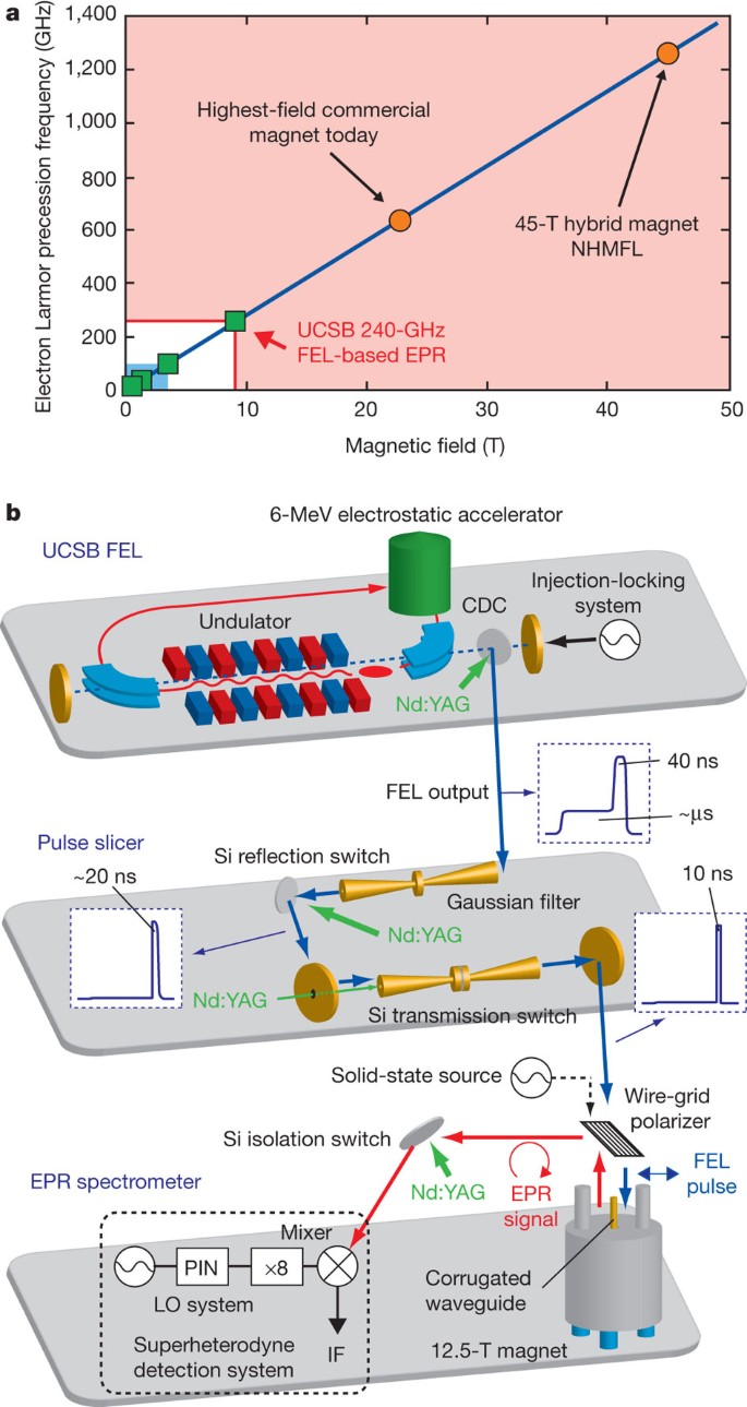Pulsed electron paramagnetic resonance spectroscopy powered by a free-electron laser | Nature