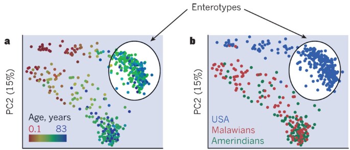 Diversity, stability and resilience of the human gut microbiota | Nature