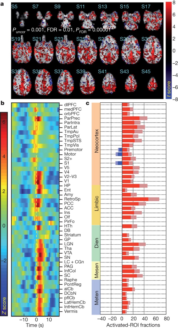 Modelos de IA para química: mapeamento do cenário em materiais e ciências  da vida | CAS, image size:685x1262