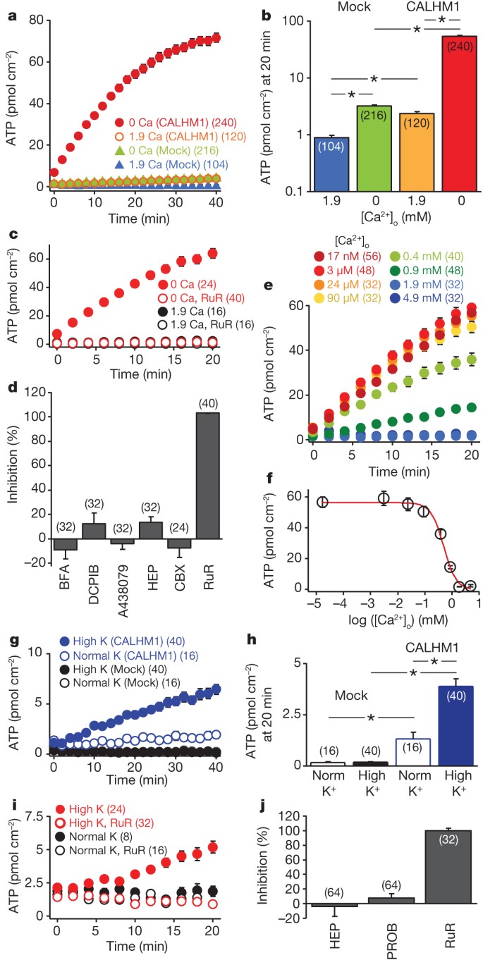 Calhm1 Ion Channel Mediates Purinergic Neurotransmission Of Sweet Bitter And Umami Tastes Nature