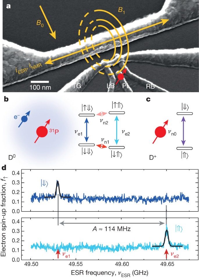 High Fidelity Readout And Control Of A Nuclear Spin Qubit In Silicon Nature High Fidelity Readout And Control Of A Nuclear Spin Qubit In Silicon Nature