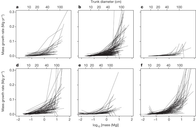 Rate of tree carbon accumulation increases continuously with tree size |  Nature