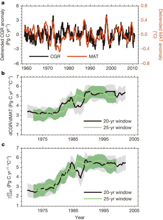 A two-fold increase of carbon cycle sensitivity to tropical temperature  variations | Nature