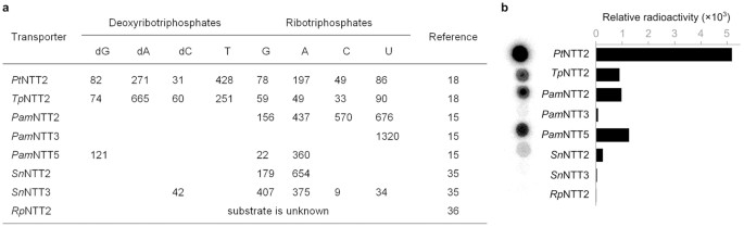extended data figure 4