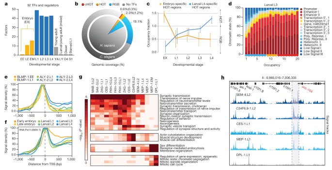 Figure 1: Large-scale regulatory analysis of the C. elegans genome.