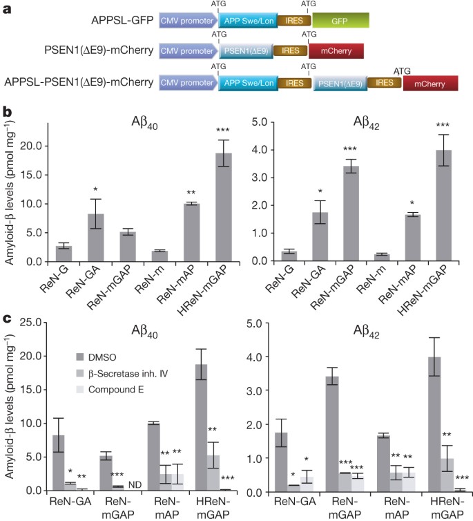 A Three Dimensional Human Neural Cell Culture Model Of Alzheimer S Disease Nature