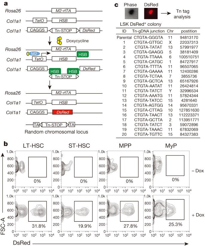 figure1