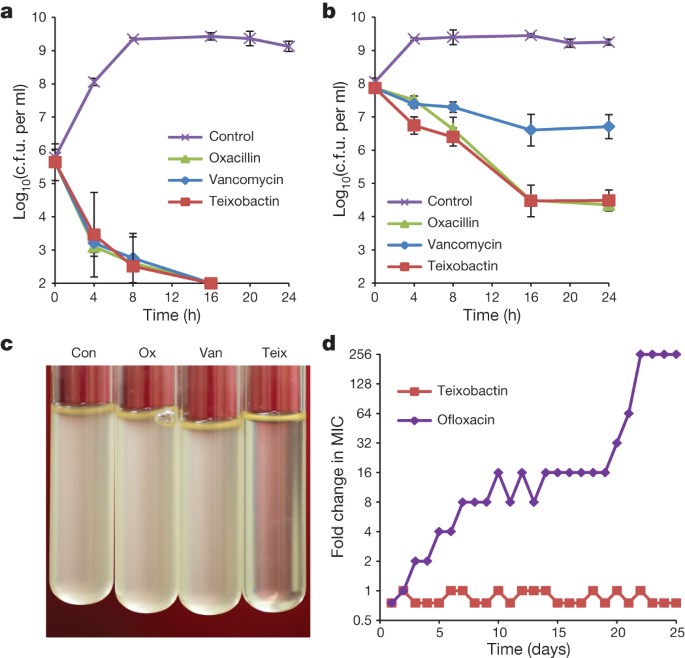 A new antibiotic kills pathogens without detectable resistance | Nature A new antibiotic kills pathogens without detectable resistance | Nature