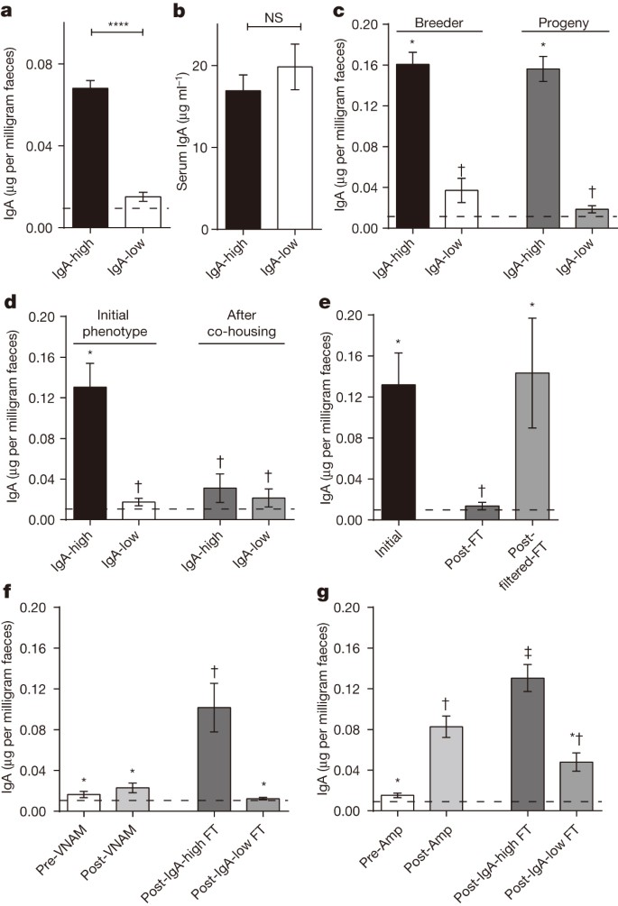 Widespread vertical transmission of secretory immunoglobulin A