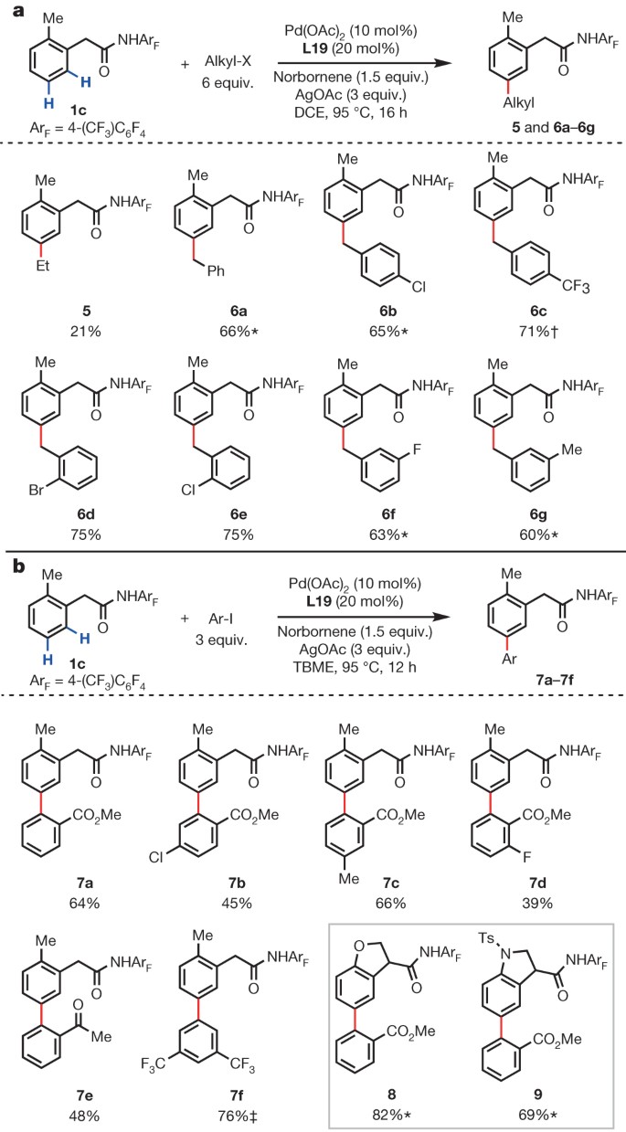 Ligand Enabled Meta C H Activation Using A Transient Mediator Nature