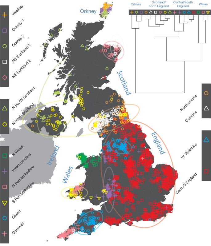 The fine-scale genetic structure of the British population | Nature