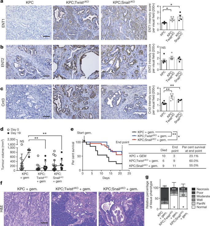 Epithelial To Mesenchymal Transition Is Dispensable For Metastasis But Induces Chemoresistance In Pancreatic Cancer Nature