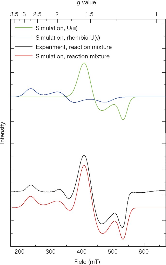 Uranium Mediated Electrocatalytic Dihydrogen Production From Water Nature