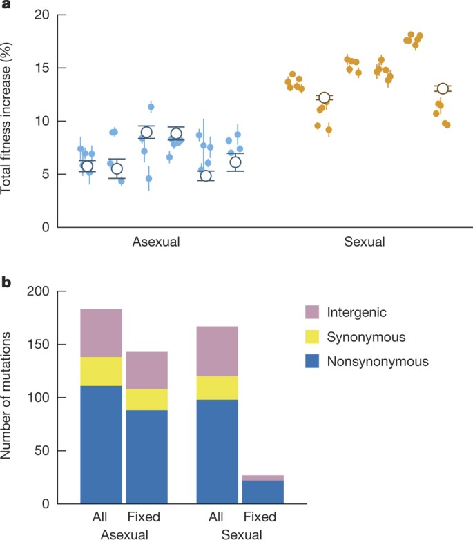 Sex Speeds Adaptation By Altering The Dynamics Of Molecular Evolution Nature
