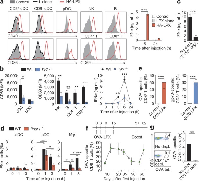 Systemic Rna Delivery To Dendritic Cells Exploits Antiviral Defence For Cancer Immunotherapy Nature