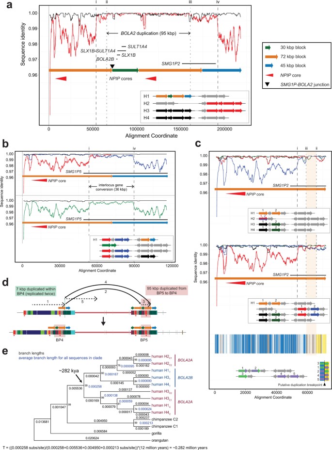extended data figure 10