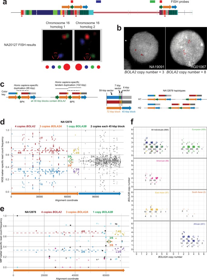 extended data figure 11