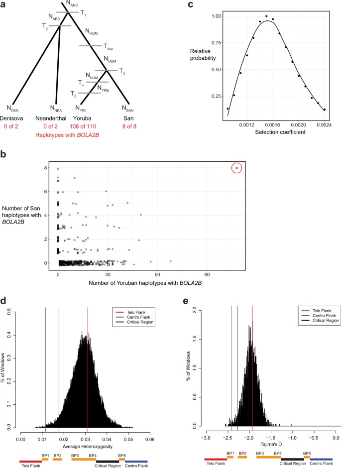 extended data figure 12
