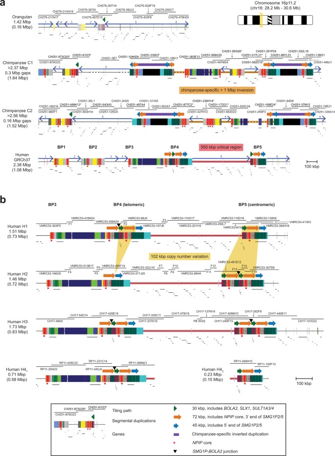 extended data figure 5