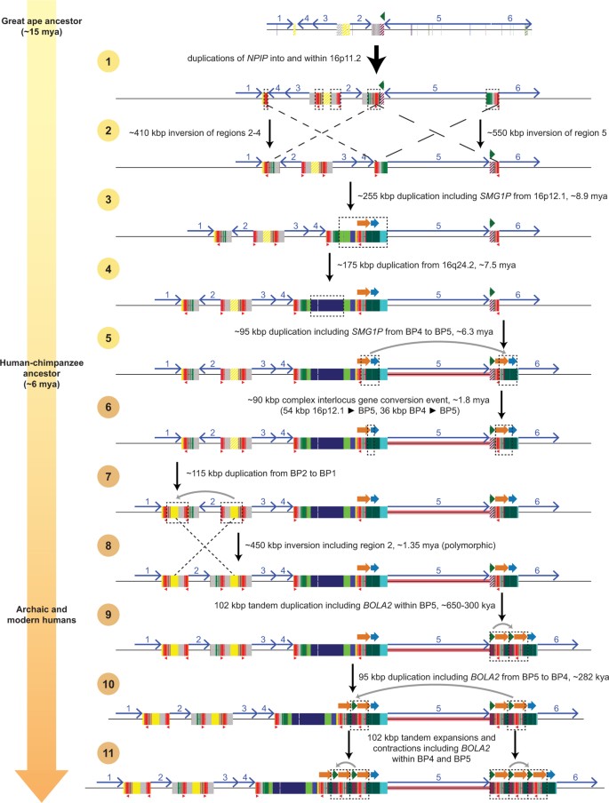extended data figure 7