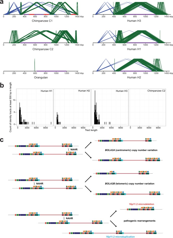 extended data figure 9