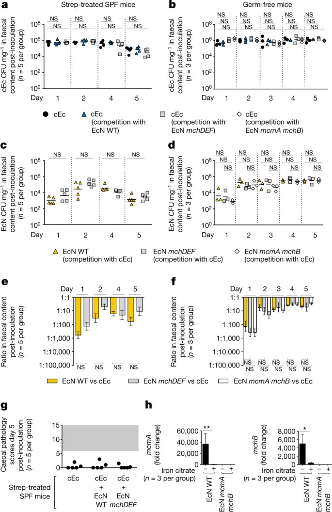 Microcins Mediate Competition Among Enterobacteriaceae In The Inflamed Gut Nature
