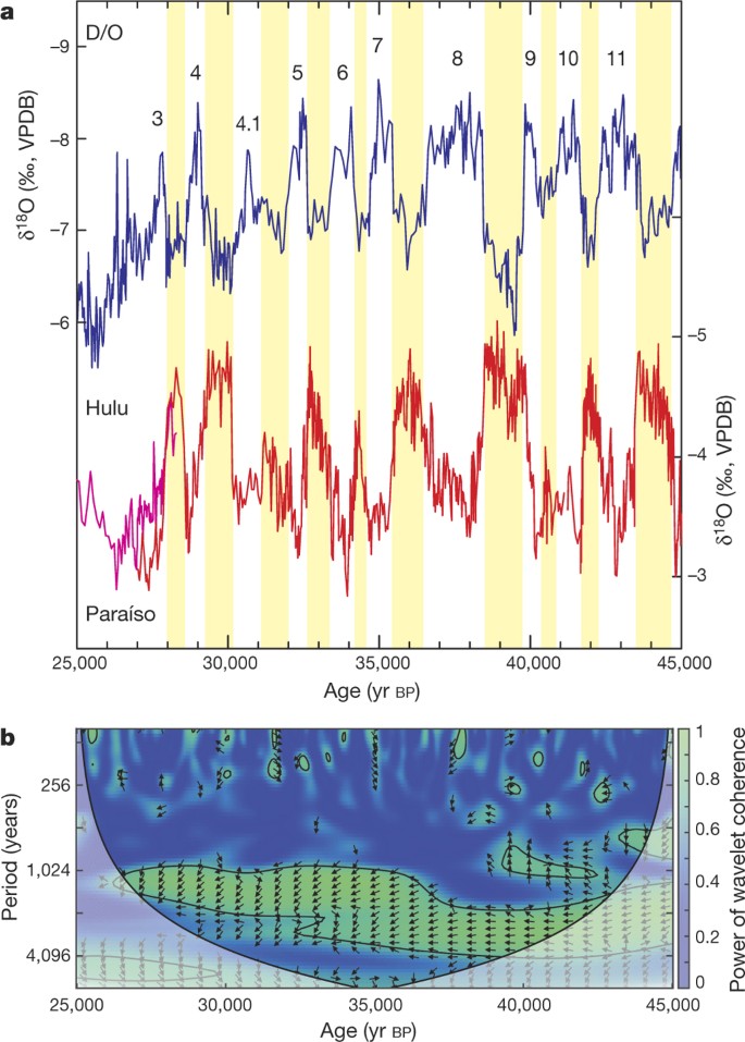 Hydroclimate changes across the Amazon lowlands over the past 45,000 years  | Nature