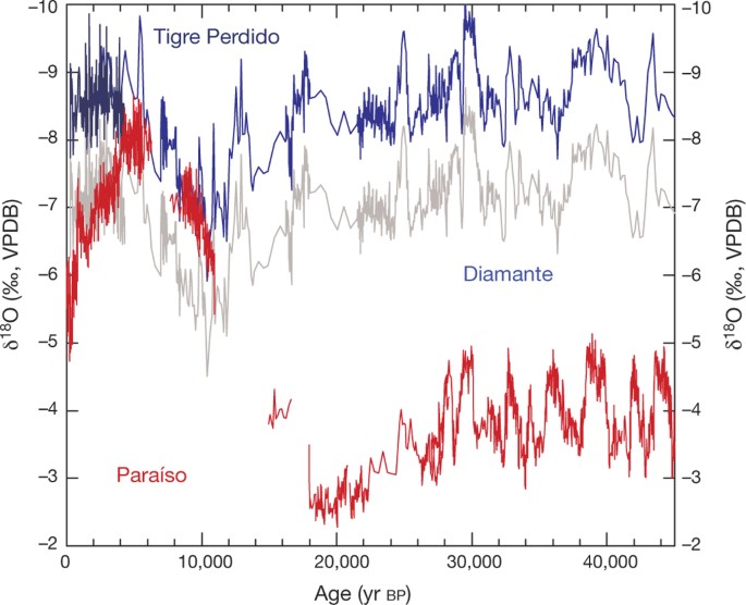 Hydroclimate changes across the Amazon lowlands over the past 45,000 years  | Nature