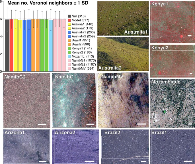 extended data figure 7
