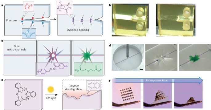 Polymers with autonomous life-cycle control | Nature