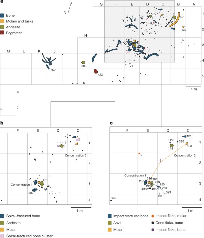 130,000-year-old archaeological site in southern California, | Nature