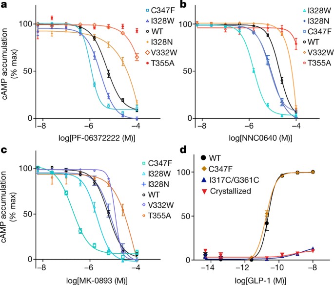 Human Glp 1 Receptor Transmembrane Domain Structure In Complex With Allosteric Modulators Nature