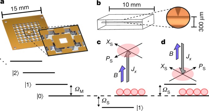 Quantum back-action-evading of motion in mass reference frame | Nature