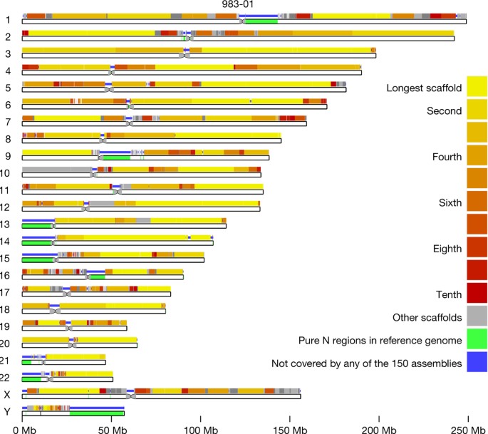 Sequencing And De Novo Assembly Of 150 Genomes From Denmark As A Population Reference Nature Sequencing And De Novo Assembly Of 150 Genomes From Denmark As A Population Reference Nature
