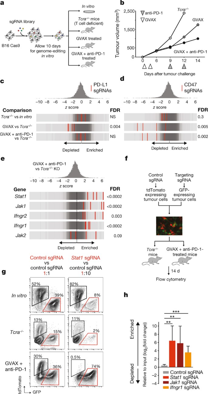 In Vivo Crispr Screening Identifies Ptpn2 As A Cancer Immunotherapy Target Nature