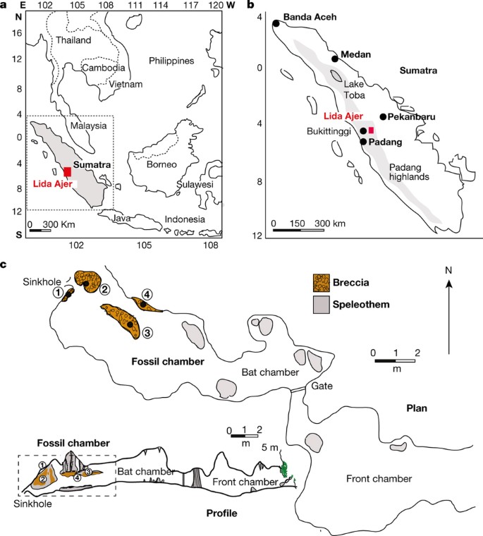 An Early Modern Human Presence In Sumatra 73 000 63 000 Years Ago Nature