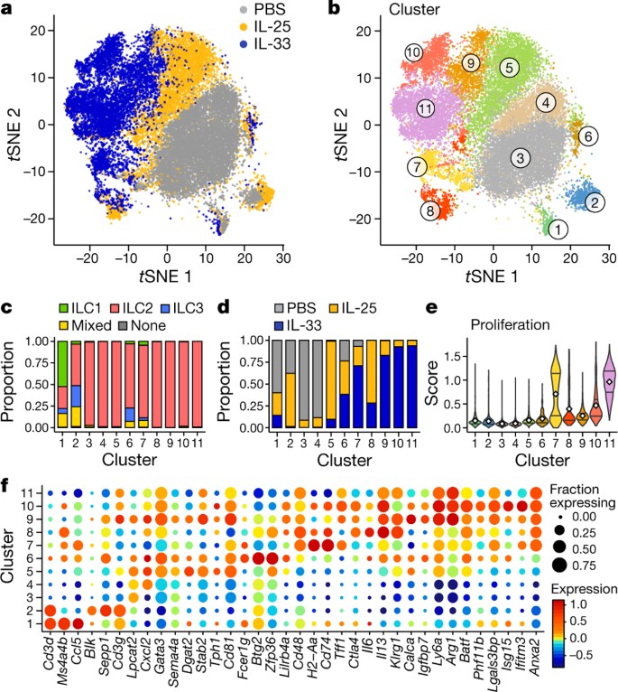 The Neuropeptide Nmu Amplifies Ilc2 Driven Allergic Lung Inflammation Nature