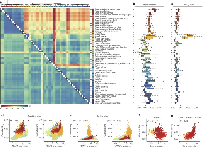 Dynamic landscape and regulation of RNA editing in mammals