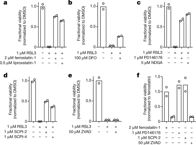Drug Tolerant Persister Cancer Cells Are Vulnerable To Gpx4 Inhibition Nature