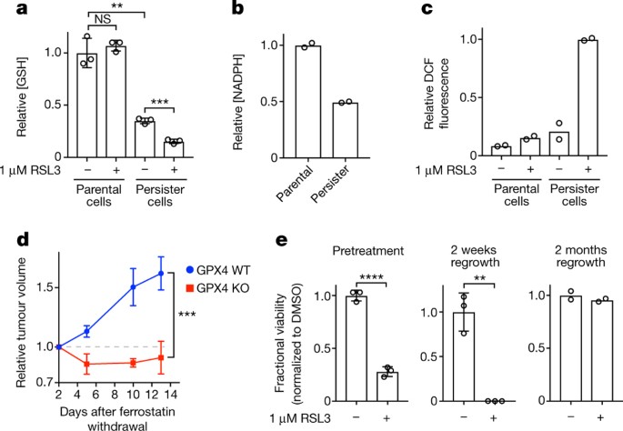 Drug Tolerant Persister Cancer Cells Are Vulnerable To Gpx4 Inhibition Nature