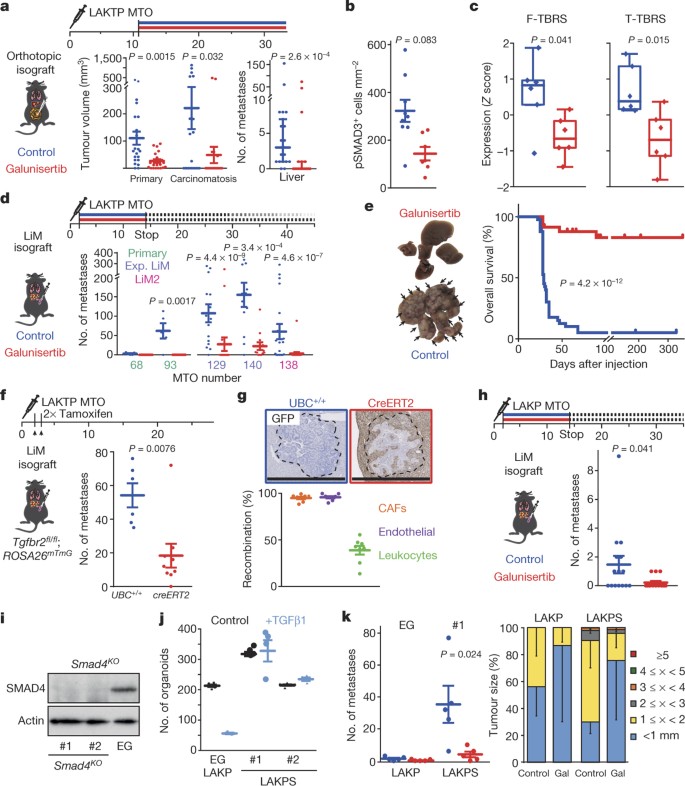 Tgfb Drives Immune Evasion In Genetically Reconstituted Colon Cancer Metastasis Nature