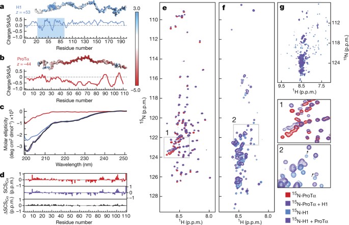 Extreme Disorder In An Ultrahigh Affinity Protein Complex Nature