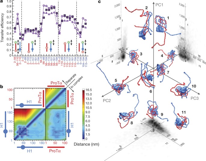 Extreme disorder in an ultrahigh-affinity protein complex | Nature